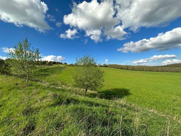 Gewerbegrundstück zum Kauf 38.040 € 951 m² Grundstück Gonnesweiler Nohfelden 66625