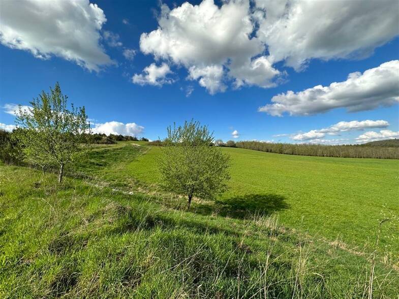 Gewerbegrundstück zum Kauf 38.040 € 951 m² Grundstück Gonnesweiler Nohfelden 66625