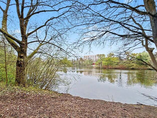 Wohnung zum Kauf 250.000 € 3 Zimmer 65,7 m² 1. Geschoss Bramfeld Hamburg 22177