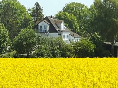 Mehrfamilienhaus zum Kauf 1.500.000 € 15 Zimmer 700 m² 500 m² Grundstück Dahme Dahme 23747
