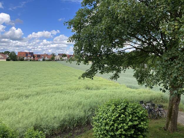 Wohnung zum Kauf provisionsfrei 299.000 € 2 Zimmer 52 m² 1. Geschoss Goldach Hallbergmoos 85399