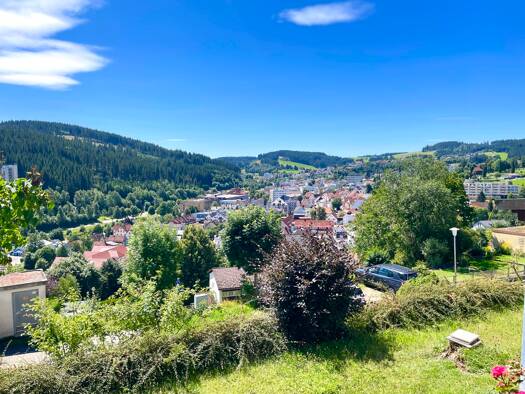 Doppelhaushälfte zum Kauf 395.000 € 8 Zimmer 150 m² 864 m² Grundstück Stadtgebiet Furtwangen im Schwarzwald 78120