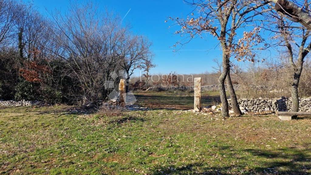 Land-/Forstwirtschaft zum Kauf 135.000 € Svetvincenat