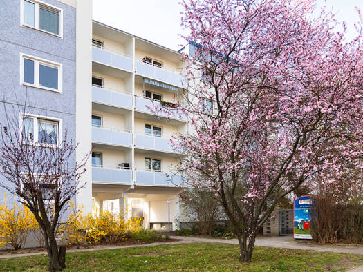 Wohnung zur Miete 413 € 2 Zimmer 57,8 m² 4. Geschoss Ernst-Barlach-Straße 30 Ströbitz Cottbus 03046