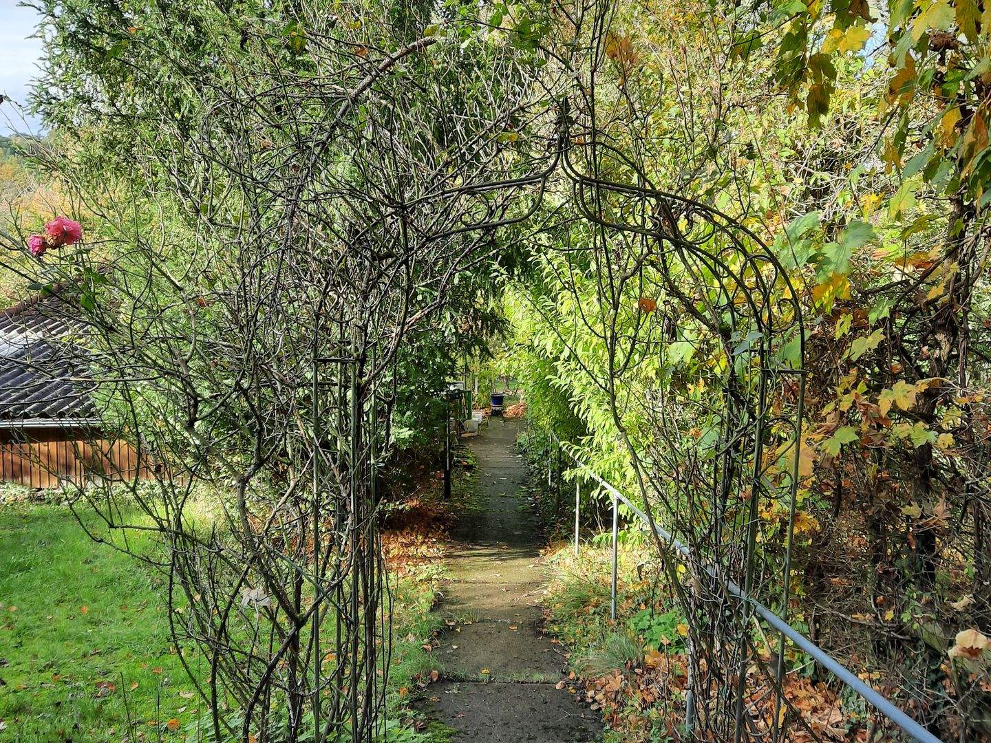 Seltenes großes Freizeitgrundstück mit Wochenendhaus und Obstbäumen im Waldgebiet