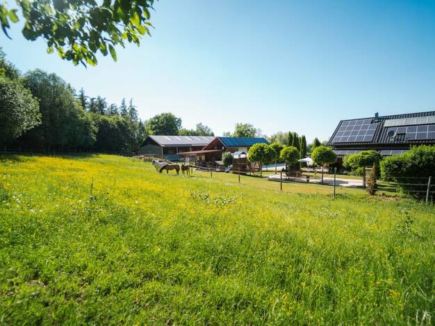 Reiterhof zum Kauf 1.495.000 € 30.971 m² Grundstück Eichendorf 94428