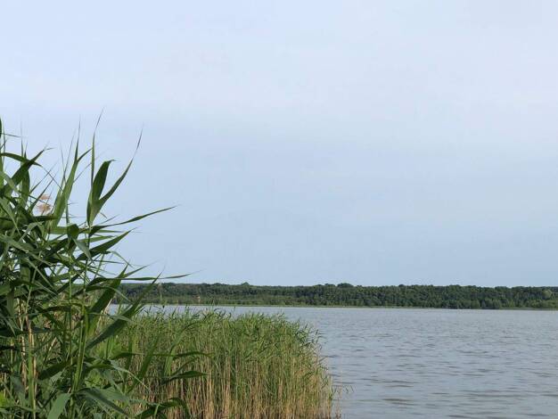 Wohnung zur Miete 1.525 € 4 Zimmer 108,1 m² 3. Geschoss frei ab sofort Am See 22 a Bestensee 15741