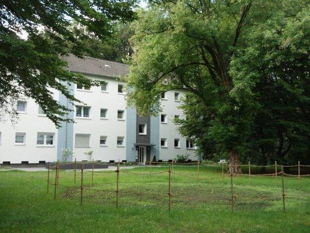 Wohnung zur Miete 554 € 3 Zimmer 65,1 m² 1. Geschoss frei ab 20.01.2026 Arenbergstr. 21 Schultendorf Gladbeck 45966