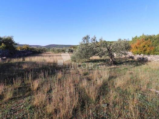 Acker-/Waldstück zum Kauf 34.500 € Bilice, Šibenik - Okolica Bilice 22000