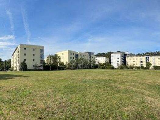 Wohnung zur Miete 300 € 1 Zimmer 35,7 m² 1. Geschoss frei ab 01.03.2026 Münzmeisterstraße 14d Räcknitz/Zschertnitz Dresden 01217