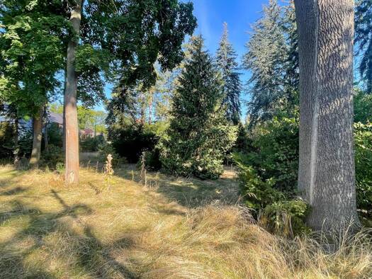 Grundstück zum Kauf 495.000 € 1.804 m² Grundstück Waldsteinberg Brandis 04821