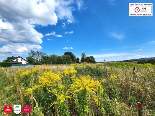 Grundstück zum Kauf 249.000 € 965 m² Grundstück Wiener Neustadt 2700