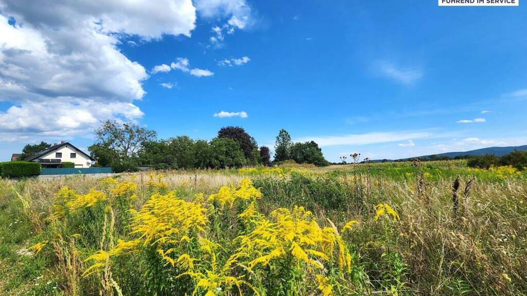 Grundstück zum Kauf 249.000 € 965 m² Grundstück Wiener Neustadt 2700