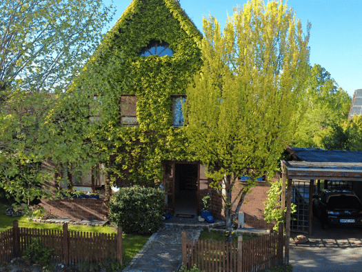 Einfamilienhaus zum Kauf 335.000 € 5 Zimmer 134 m² 604 m² Grundstück Borghorst Steinfurt 48565