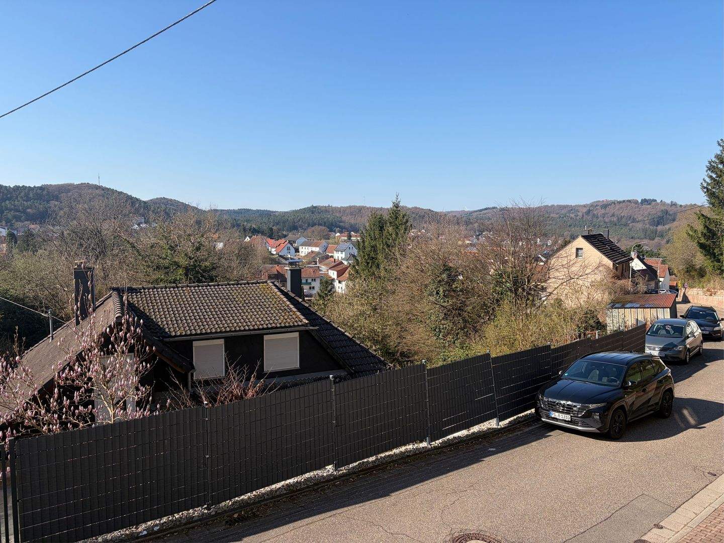 Immobilie in Lemberg - Freistehendes Einfamilienhaus in ruhiger Waldrandlage in Lemberg - Bild 2