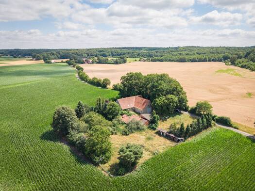 Haus zum Kauf 249.000 € 5.967 m² Grundstück Steinbeck Recke / Steinbeck 49509