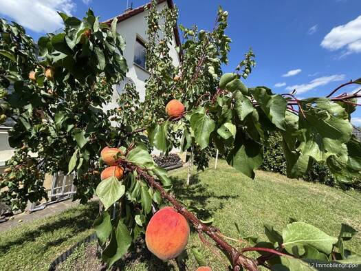 Einfamilienhaus zum Kauf 397.000 € 5 Zimmer 120 m² 1.019 m² Grundstück Bockwen Klipphausen 01665