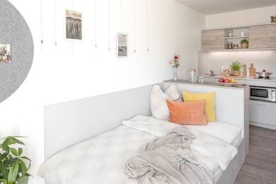 Studio zur Miete 604 € 1 Zimmer 23 m² frei ab 01.09.2025 Am Kläperberg 11 Nordstadt Hannover 30161