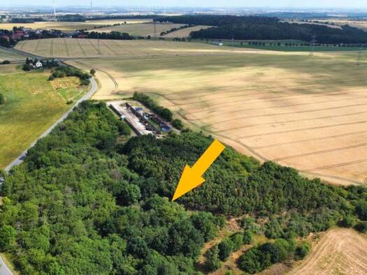 Grundstück zur Versteigerung 5.000 € 9.788 m² Grundstück Meisberg Hettstedt 06333