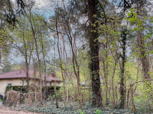 Grundstück zum Kauf 359.000 € 1.024 m² Grundstück Senzig Königs Wusterhausen 15712