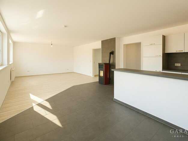 Mehrfamilienhaus zum Kauf 599.000 € 6,5 Zimmer 222 m² 595 m² Grundstück Dillingen Dillingen a.d.Donau 89407