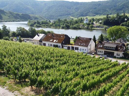 Grundstück zum Kauf 199.000 € 1.280 m² Grundstück Mehring 54346