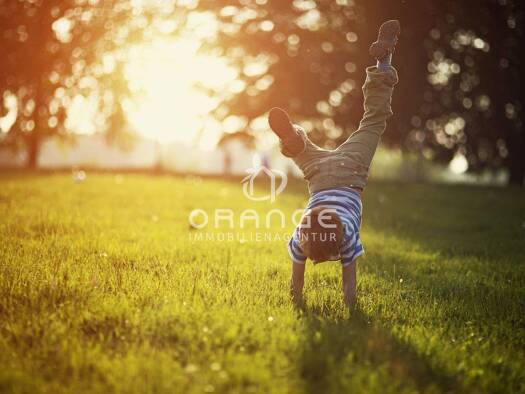 Grundstück zum Kauf provisionsfrei 180.000 € 395 m² Grundstück Lindenthal Leipzig - Lindenthal 04158