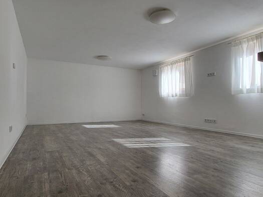 Wohnung zur Miete 700 € 1 Zimmer 50 m² frei ab sofort Pentling 93080