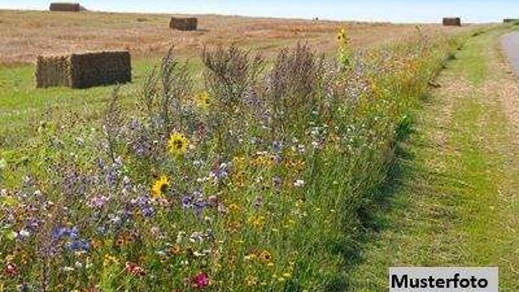 Land-/Forstwirtschaft zum Kauf 7.400 € 2.459 m² Grundstück Reinheim 64354