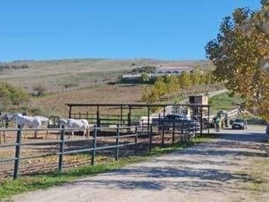 Einfamilienhaus zum Kauf 1.500.000 € 4 Zimmer 150 m² 61.000 m² Grundstück Jimena de la Frontera 11330