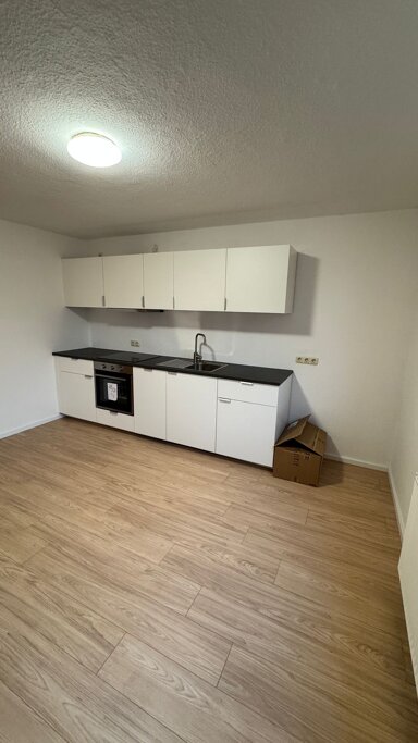 Wohnung zur Miete 650 € 2 Zimmer 60 m² EG frei ab sofort Hochdorf Hochdorf-Assenheim 67126