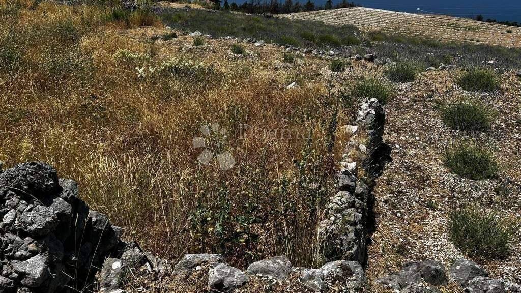 Land-/Forstwirtschaft zum Kauf 135.000 € Podgora