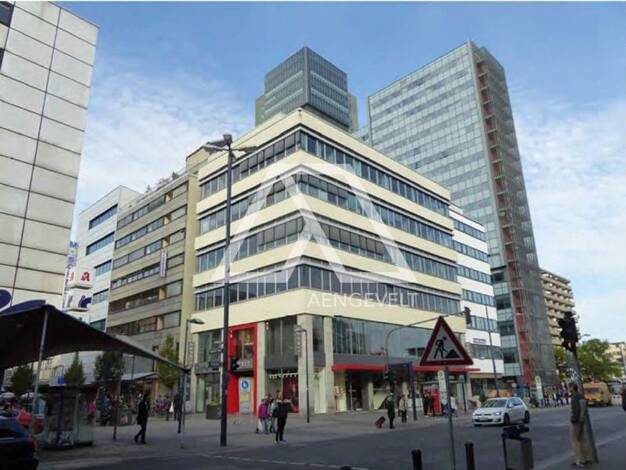 Sonstiges zur Miete provisionsfrei als Kapitalanlage geeignet 550 m² teilbar ab 550 m² Offenbach am Main Offenbach am Main 63065