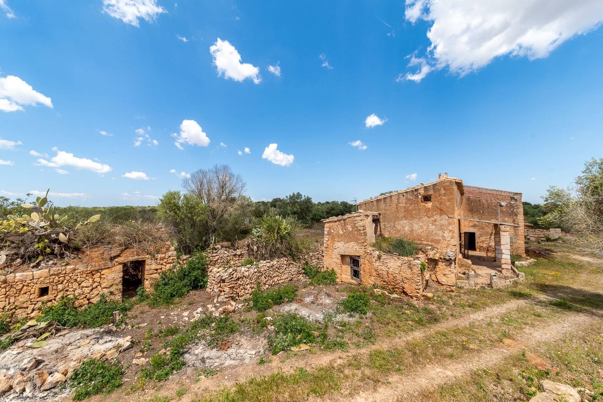 Immobilie in Bad Klosterlausnitz - Rustikale Finca mit viel Potential in Vallgonera - Bild 3