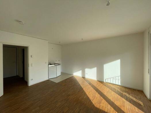 Studio zur Miete 495 € 1 Zimmer 31,6 m² 2. Geschoss Elbinger Str. 45 Schoppershof Nürnberg 90491