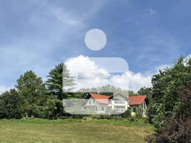 Einfamilienhaus zum Kauf 1.100.000 € 10 Zimmer 275 m² 1.597 m² Grundstück Vornbach Neuhaus 94152