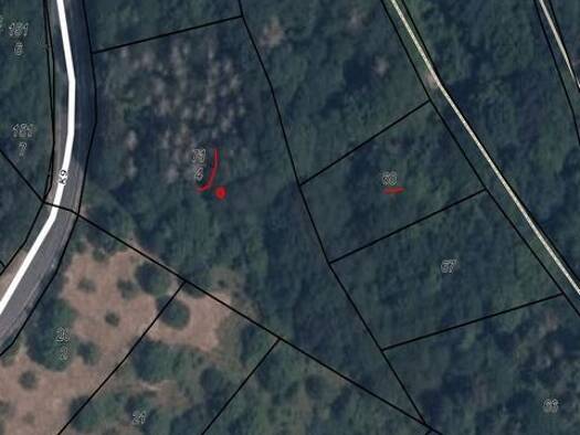 Land-/Forstwirtschaft zum Kauf provisionsfrei 6.400 € 4.089 m² 4.089 m² Grundstück K 9 Karlshof Hochstetten-Dhaun 55606