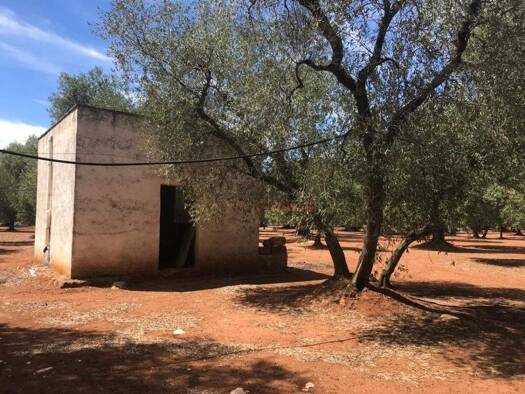 Haus zum Kauf 11.111.111 € 120 m² 28.000 m² Grundstück Ostuni 72017