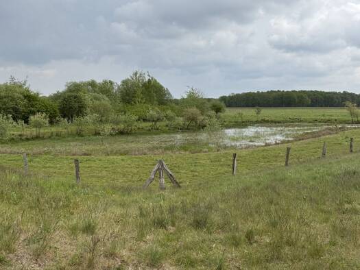 Land-/Forstwirtschaft zum Kauf provisionsfrei 495.000 € 242.977 m² Grundstück Gehrde 49596
