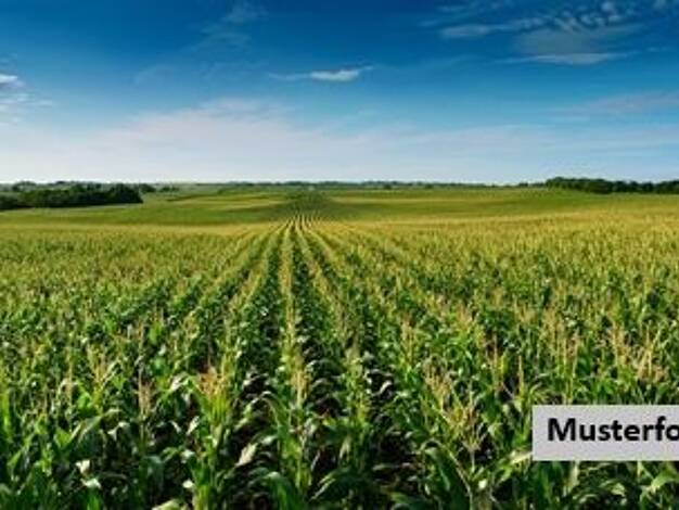 Land-/Forstwirtschaft zum Kauf 17.000 € 2.100 m² Grundstück Weißkirchen Oberursel 61440