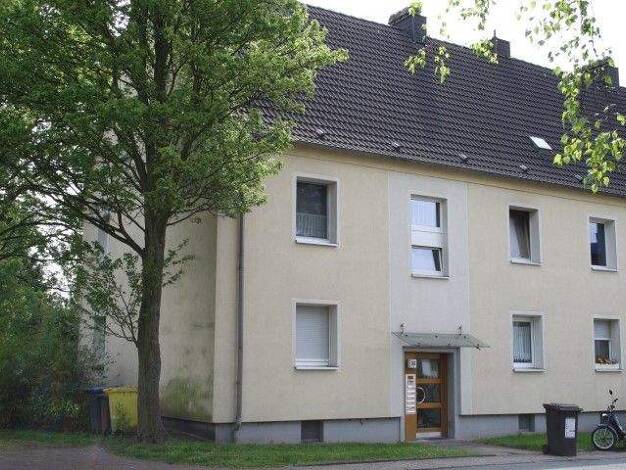 Wohnung zur Miete 467 € 2,5 Zimmer 50,9 m² 1. Geschoss Wrangelstraße 32 Batenbrock Bottrop 46238