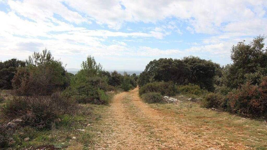 Land-/Forstwirtschaft zum Kauf 14.000 € Vir