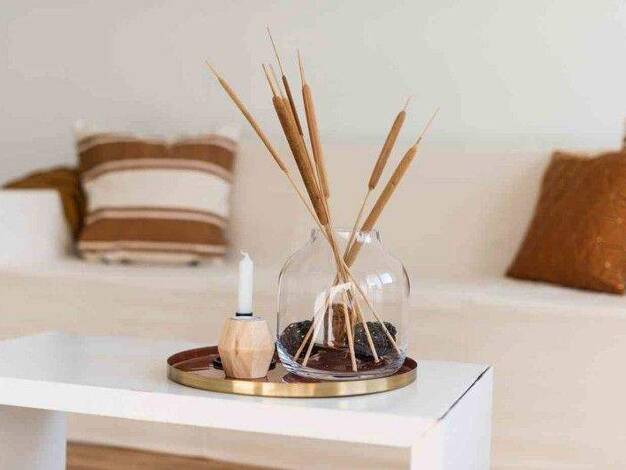 Wohnung zur Miete 288 € 1 Zimmer 26,6 m² 2. Geschoss frei ab 18.03.2026 Limbacher Weg 4 Gorbitz-Süd Dresden 01169