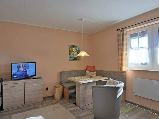 Studio zur Miete Wohnen auf Zeit 650 € 1 Zimmer 36 m² frei ab 01.06.2026 Lehesten 07778