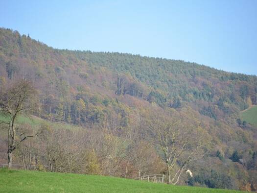 Grundstück zum Kauf 180.000 € 591 m² Grundstück Andritz Graz 8045