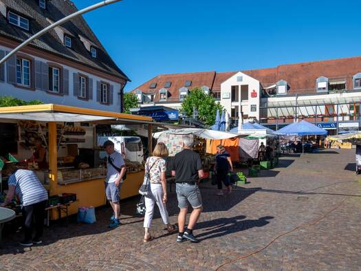 Wohnung zum Kauf 229.000 € 2 Zimmer 68,8 m² 3. Geschoss Am Marktplatz Herbolzheim 79336