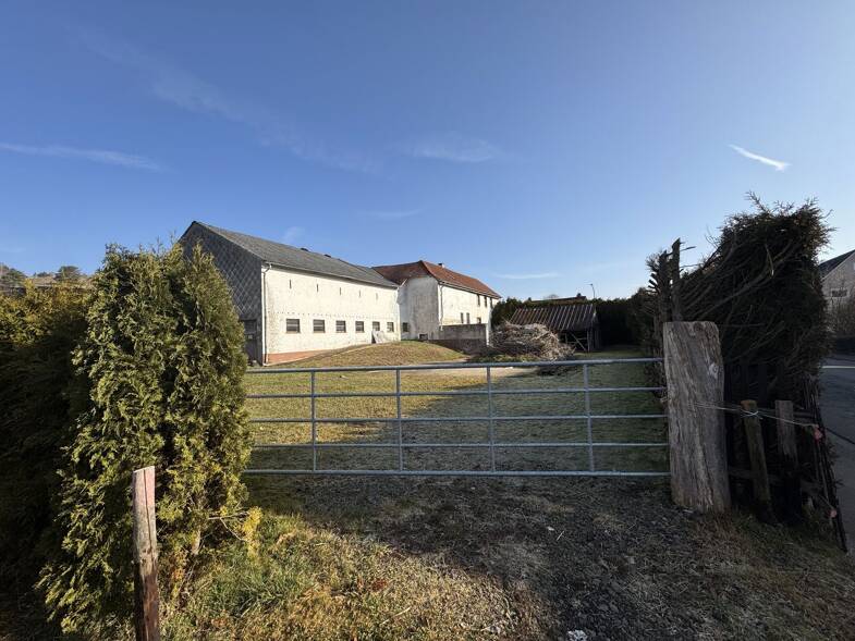 Einfamilienhaus zum Kauf 139.000 € 10 Zimmer 250 m² 1.900 m² Grundstück Römerstraße 1 Lissendorf 54587