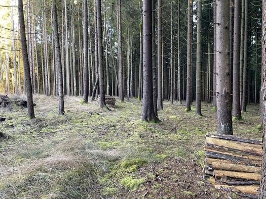 Forstwirtschaft zum Kauf 63.000 € 21.020 m² Grundstück Moosbach 92709