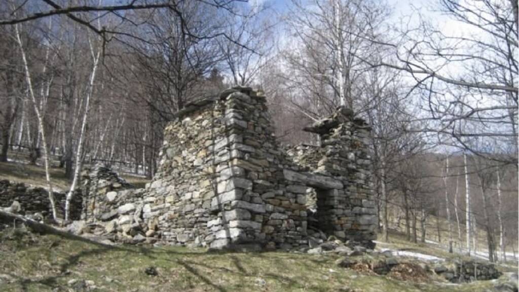 Rustico zum Kauf 90.000 € 5.500 m² Grundstück Trarego Viggiona 28826