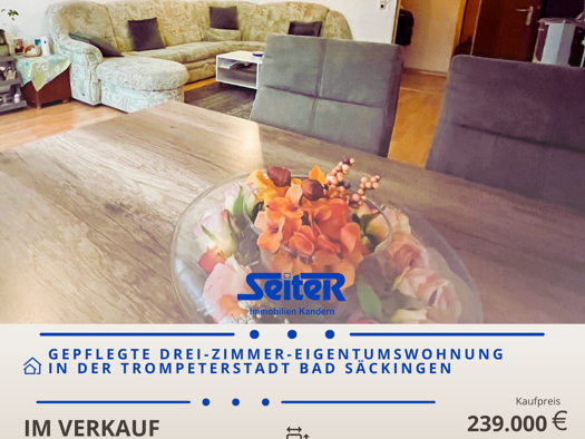 Wohnung zum Kauf 239.000 € 3 Zimmer 86,7 m² Zeppelinsraße 47 Bad Säckingen 79713